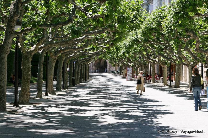 Place Paseo del Espolón