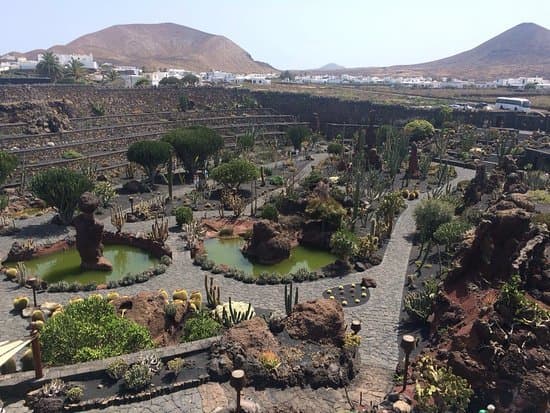 Lugar Jardín de Cactus de Lanzarote