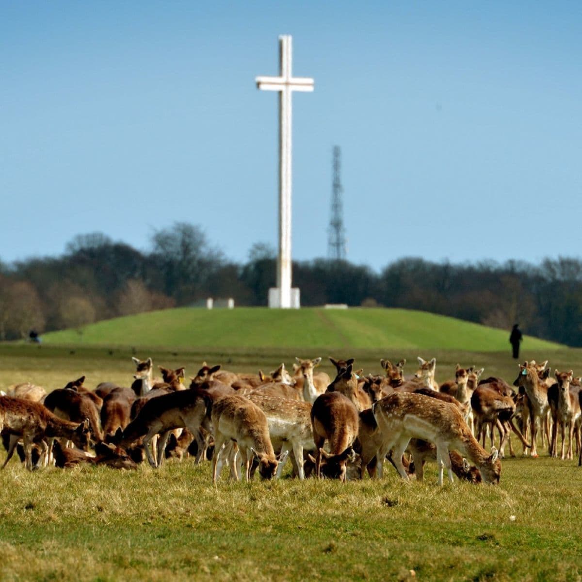 Place Phoenix Park