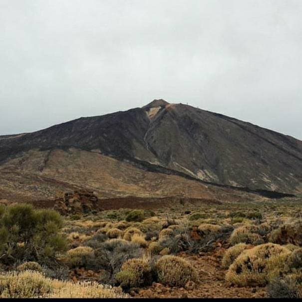 Place Teide