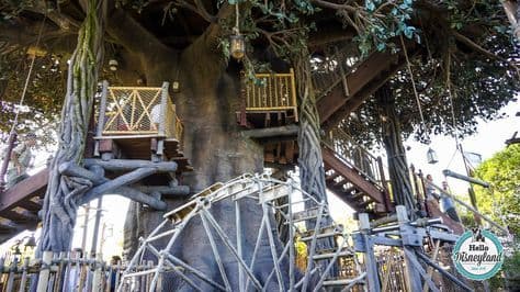 Moda La Cabane des Robinson | Disneyland Paris