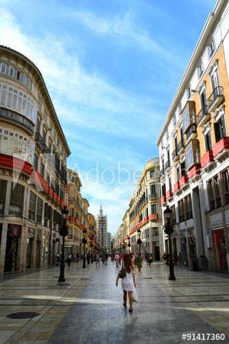 Lugar Calle Larios