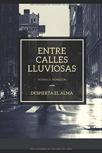 Book ENTRE CALLES LLUVIOSAS