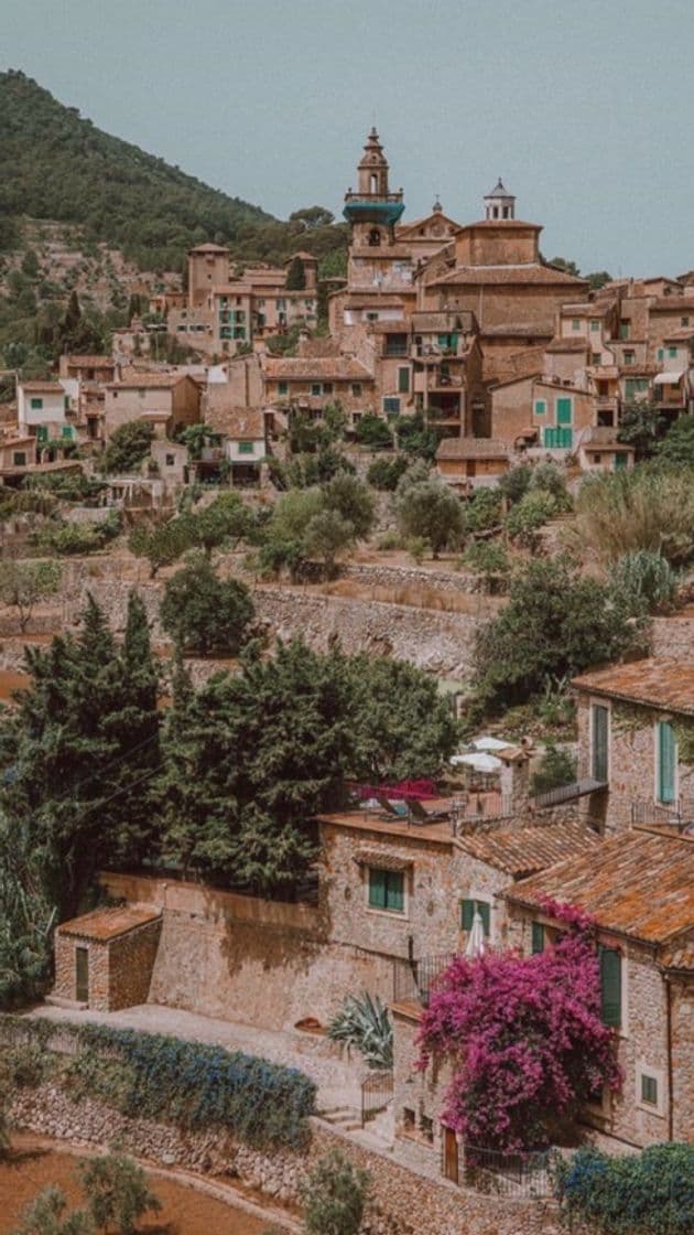 Place Valldemosa