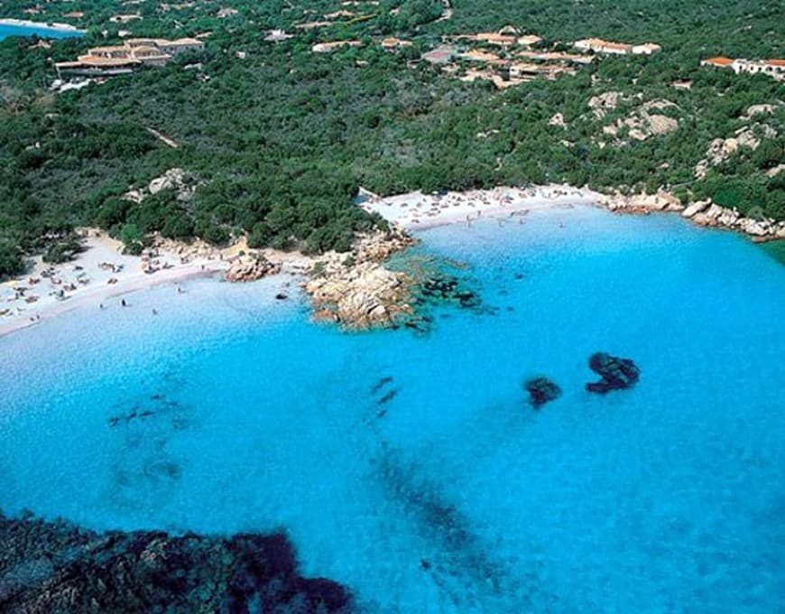 Lugar Spiaggia Del Piccolo Pevero Beach