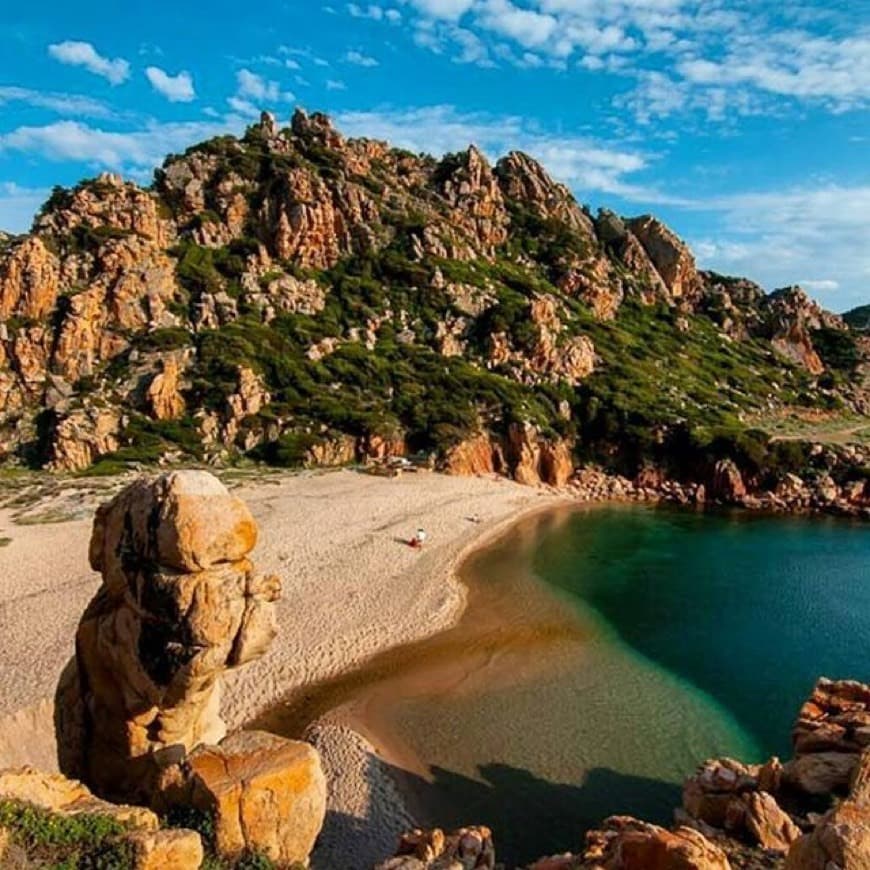 Lugar Spiaggia di Cala li Cossi