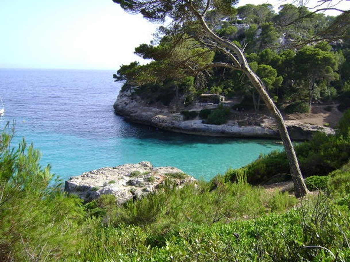 Lugar Cala Mitjaneta