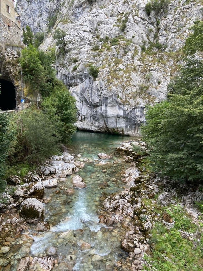 Lugar Picos de Europa