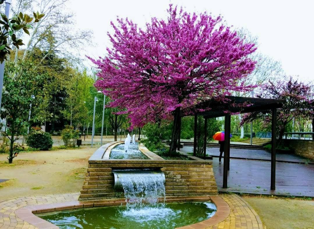 Lugar Parque de Los Campos Eliseos de Lerida 