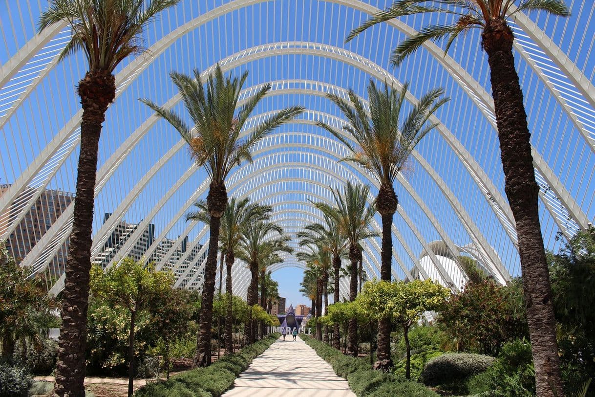 Lugar umbracle