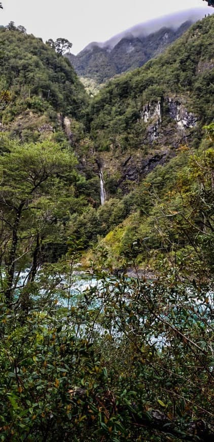 Lugar Petrohué