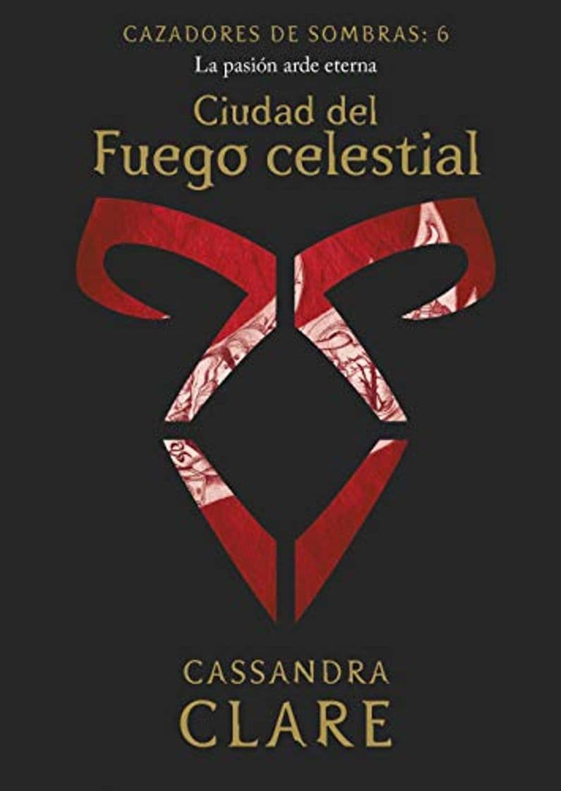 Libro Ciudad del Fuego celestial