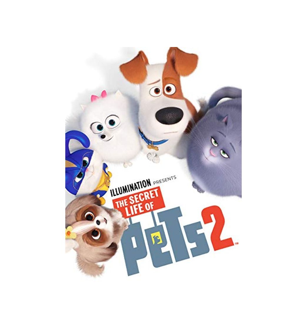 Producto The Secret Life of Pets 2