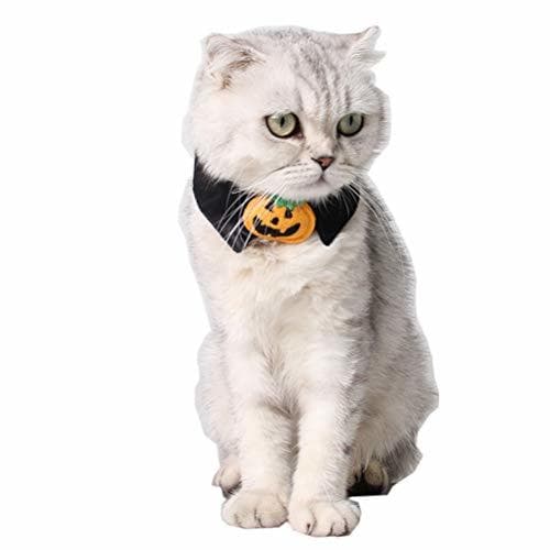 Place POPETPOP Collar de Perro de Halloween-Calabaza Gato Gato Disfraz de Halloween Pajarita