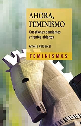 Libro Ahora, Feminismo: Cuestiones candentes y frentes abiertos