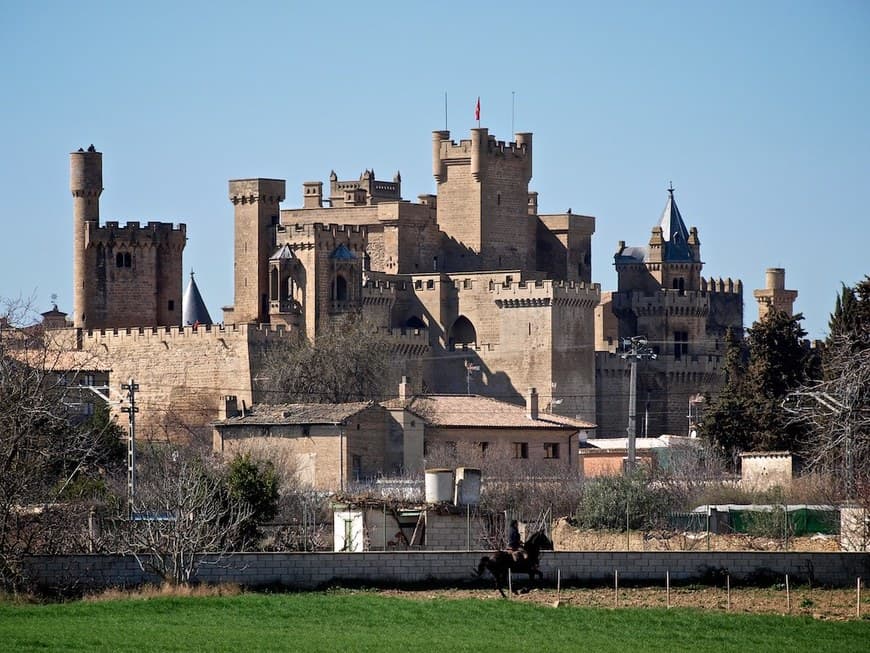 Lugar Palacio Real de Olite