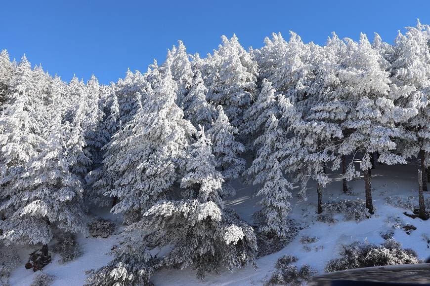 Lugar Sierra Nevada