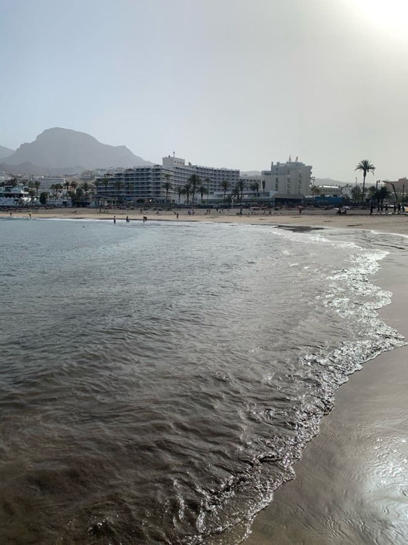 Place Playa de las Américas