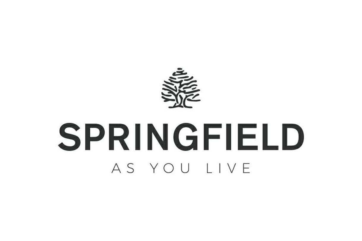 Fashion Springfield