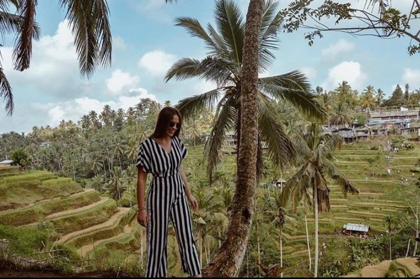 Lugar Tegallalang Rice Terrace