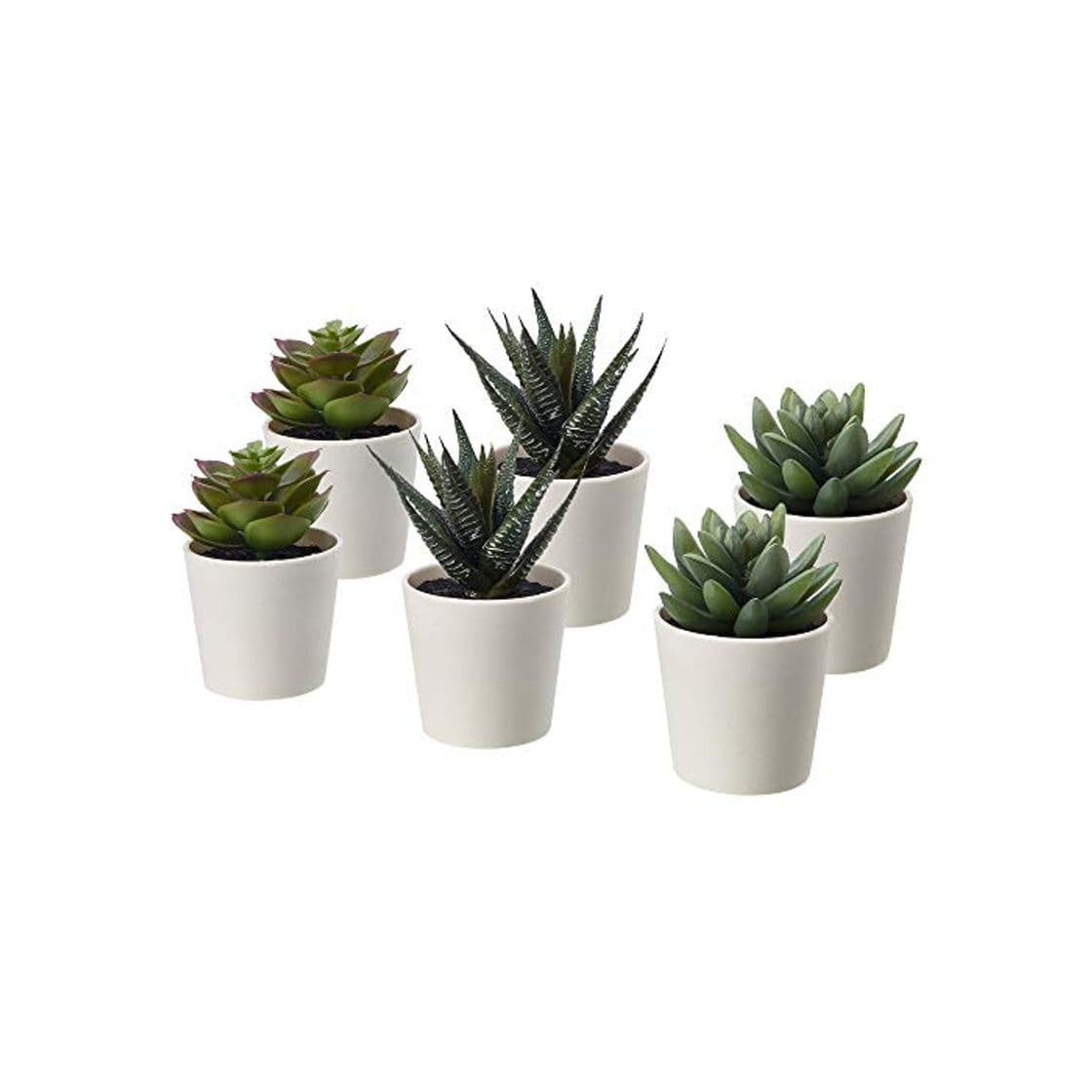 Home Ikea FEJKA - Juego de 6 Plantas suculentas Artificiales