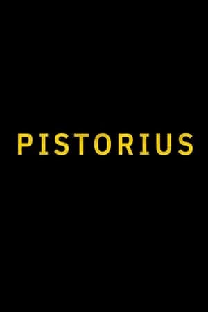 Serie Pistorius