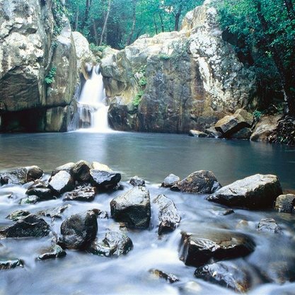 Lugar Parque Natural Los Alcornocales