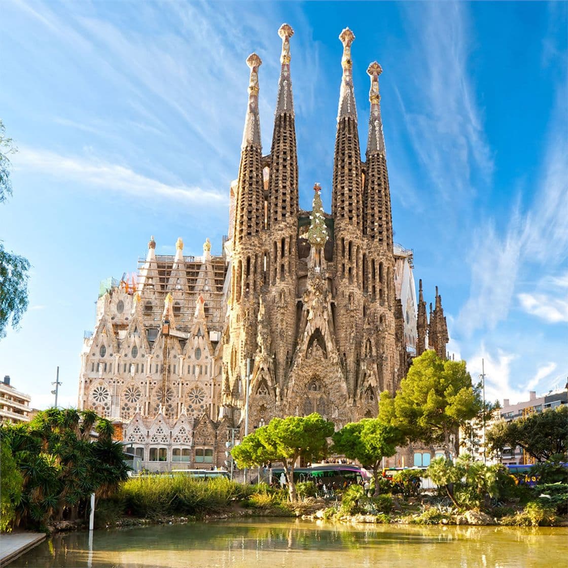 Lugar Basílica Sagrada Familia