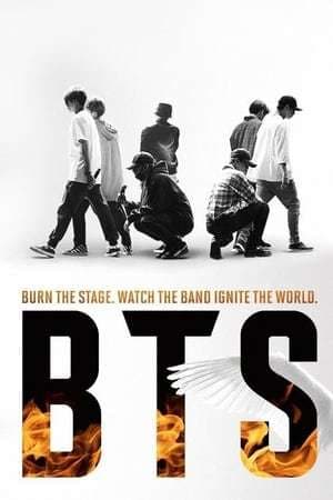 Serie BTS: Burn the Stage