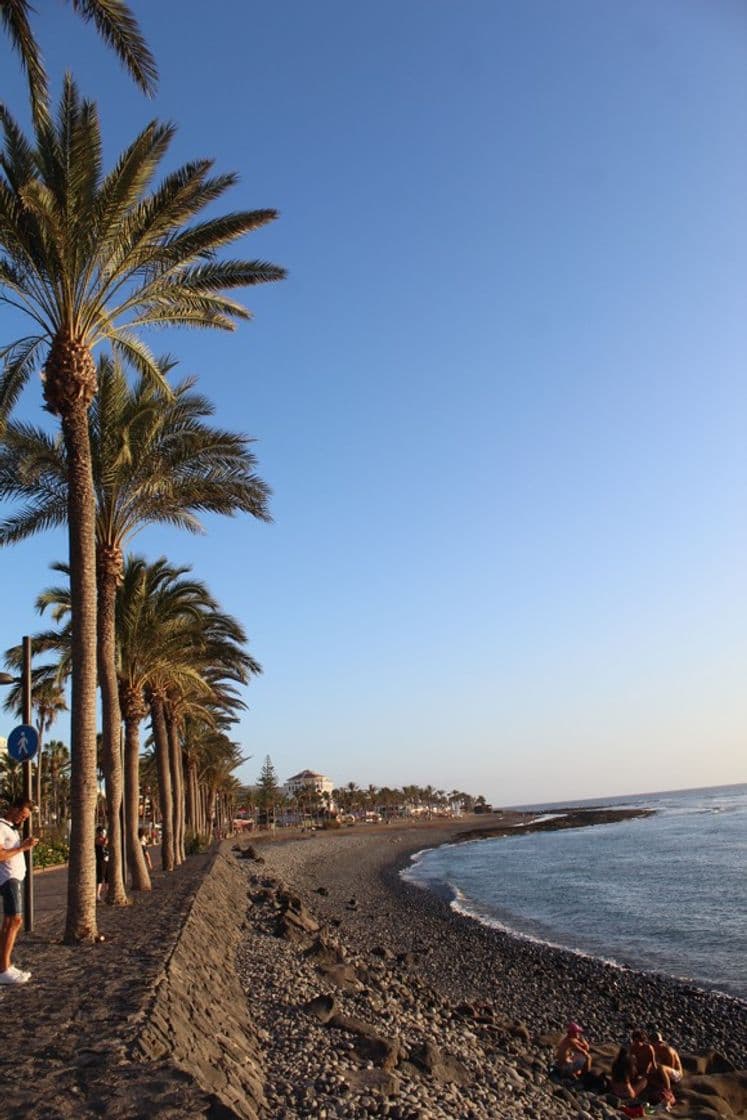 Lugar Playa de las Américas