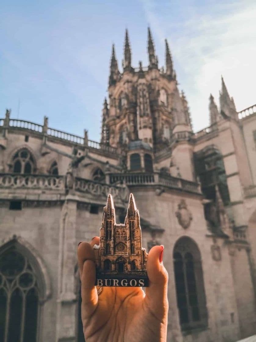 Place Catedral de Burgos