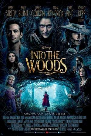 Movie Into the Woods