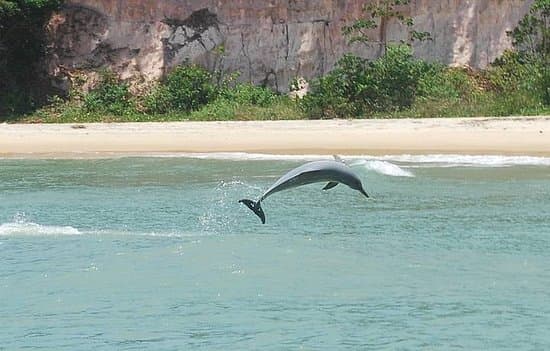 Place Playa Bahia De Los Delfines