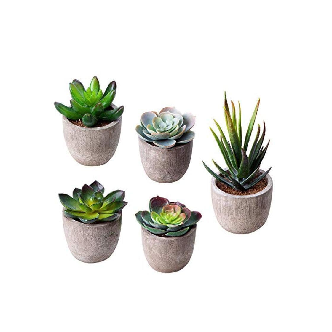 Producto HB life 5 Piezas Plantas Suculentas Artificiales Plastico Maceta Decorativas