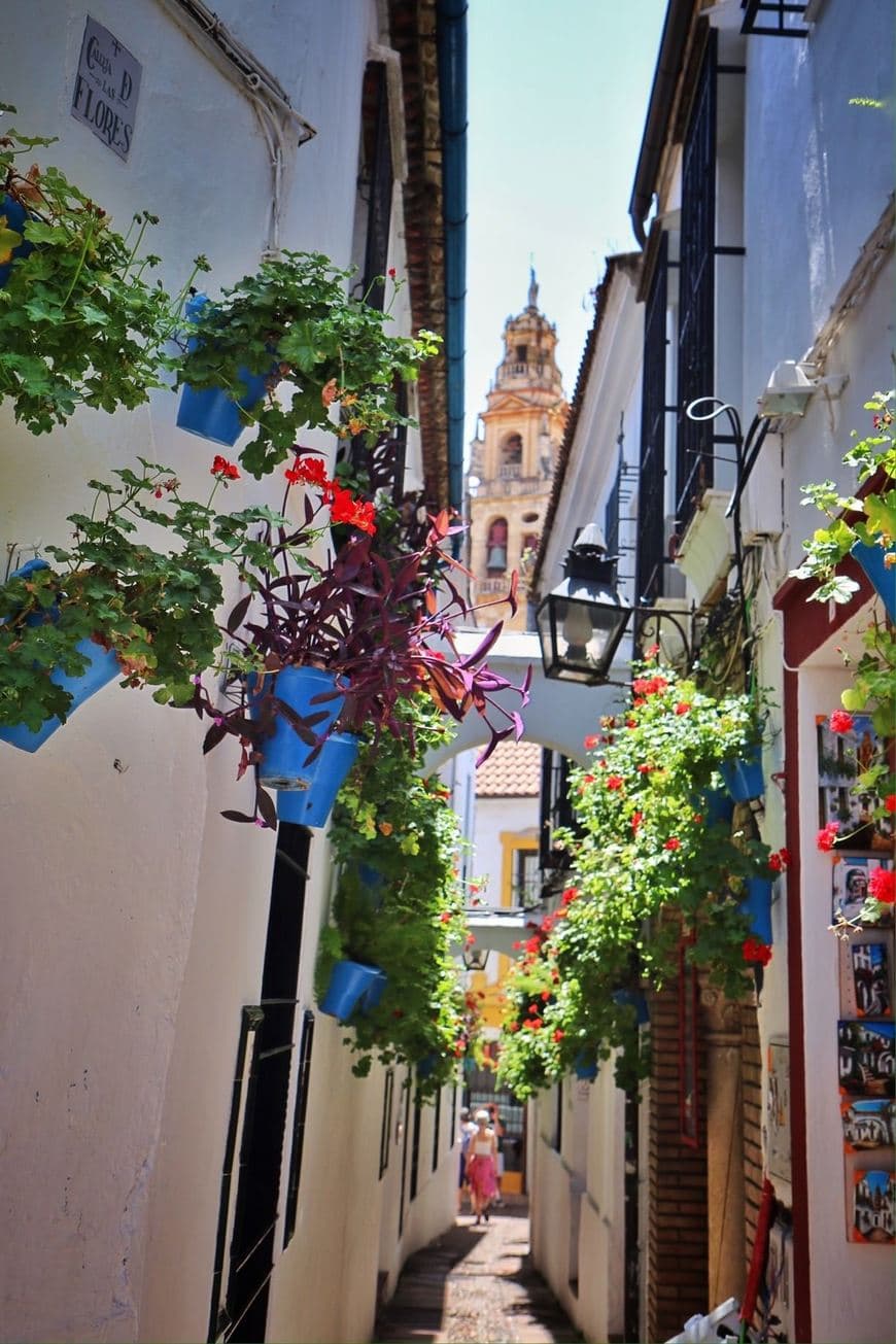 Place Calleja de las Flores