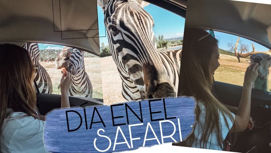 Moda SAFARI EN MADRID? VLOG 🙊