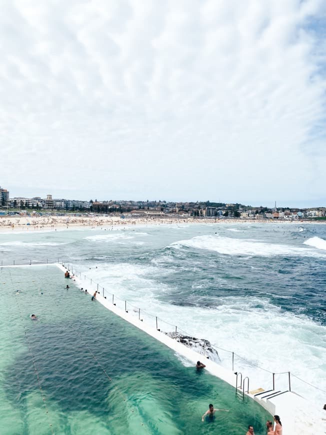 Place Bondi Beach