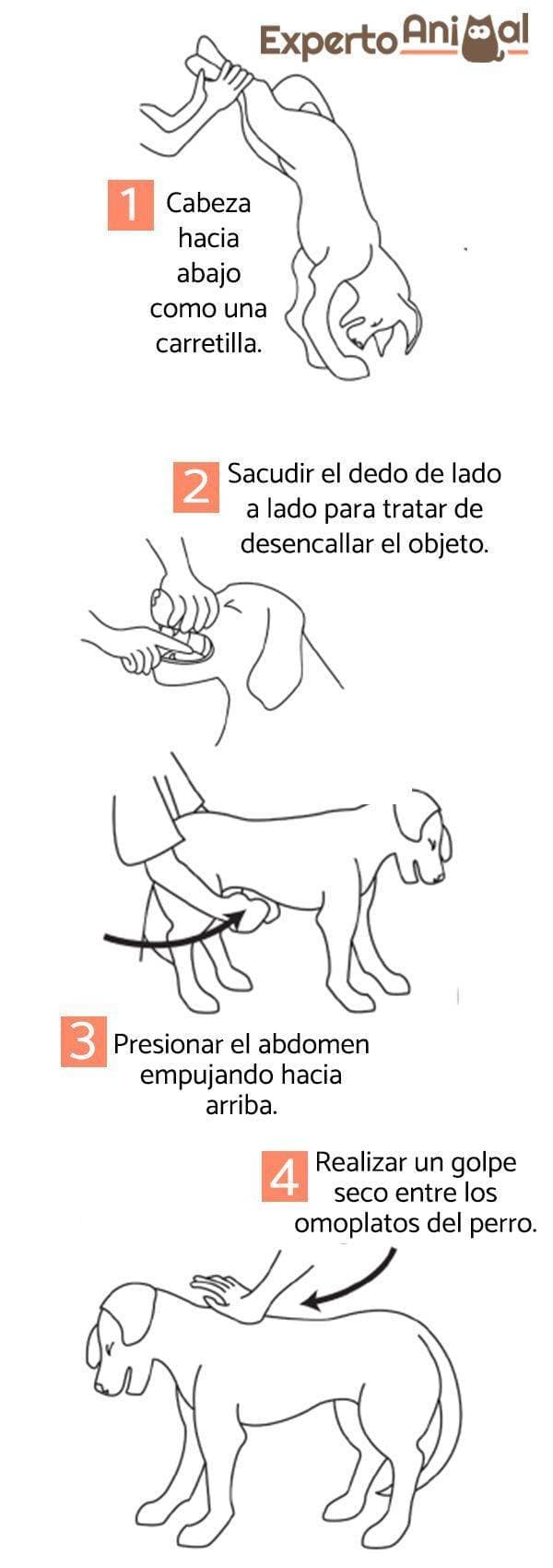 Moda Datos importantes 