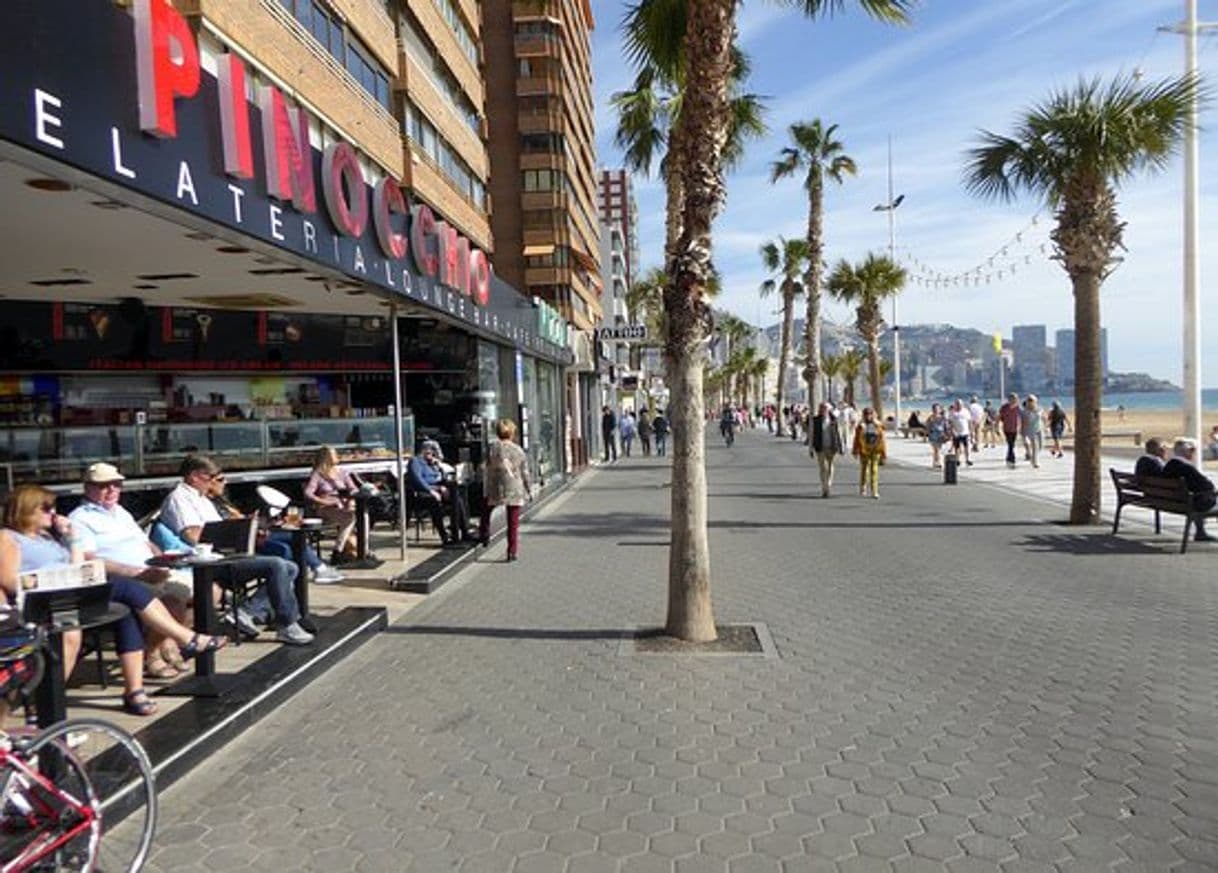 Place Gelateria Pinocchio (Avenida Alcoi)