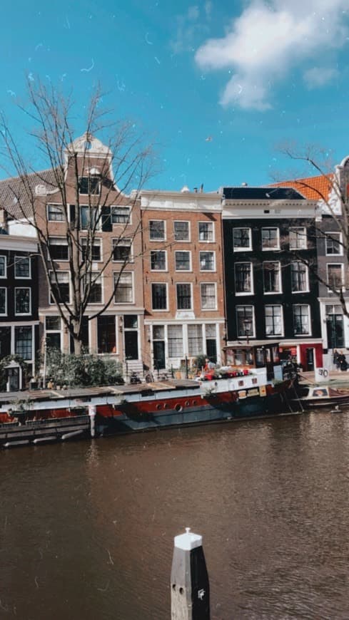 Lugar Amsterdam Canal Cruises