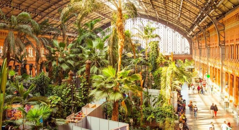 Lugar Jardín de Atocha