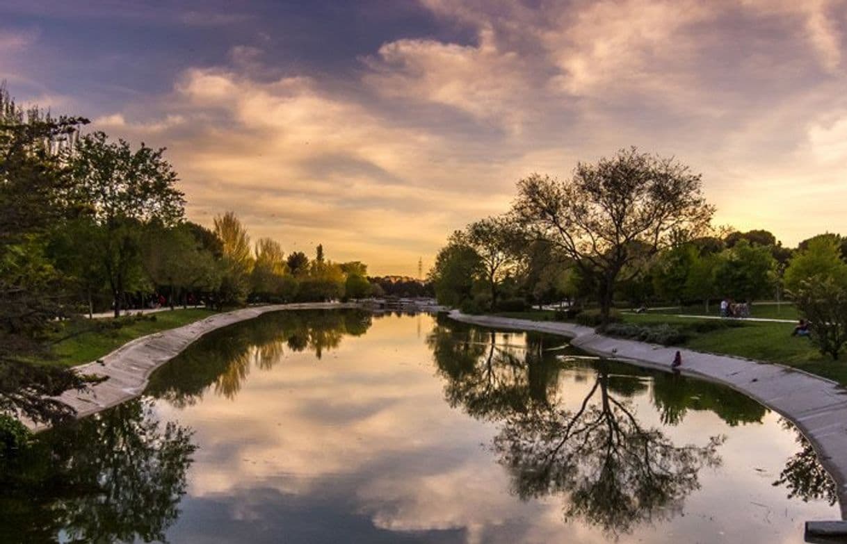 Lugar Parque Enrique Tierno Galván