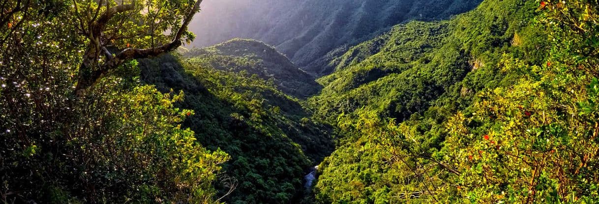 Lugar Black River Gorges National Park