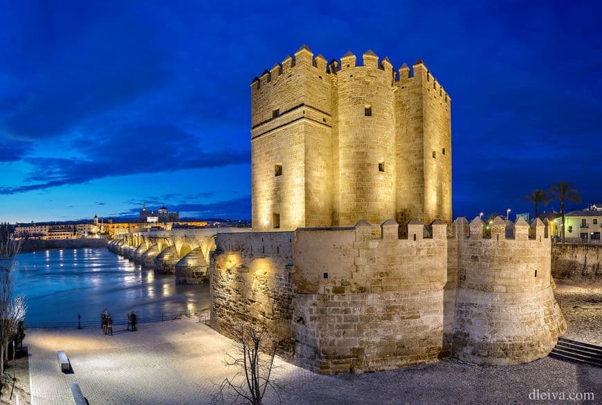 Lugar Torre De Calahorra