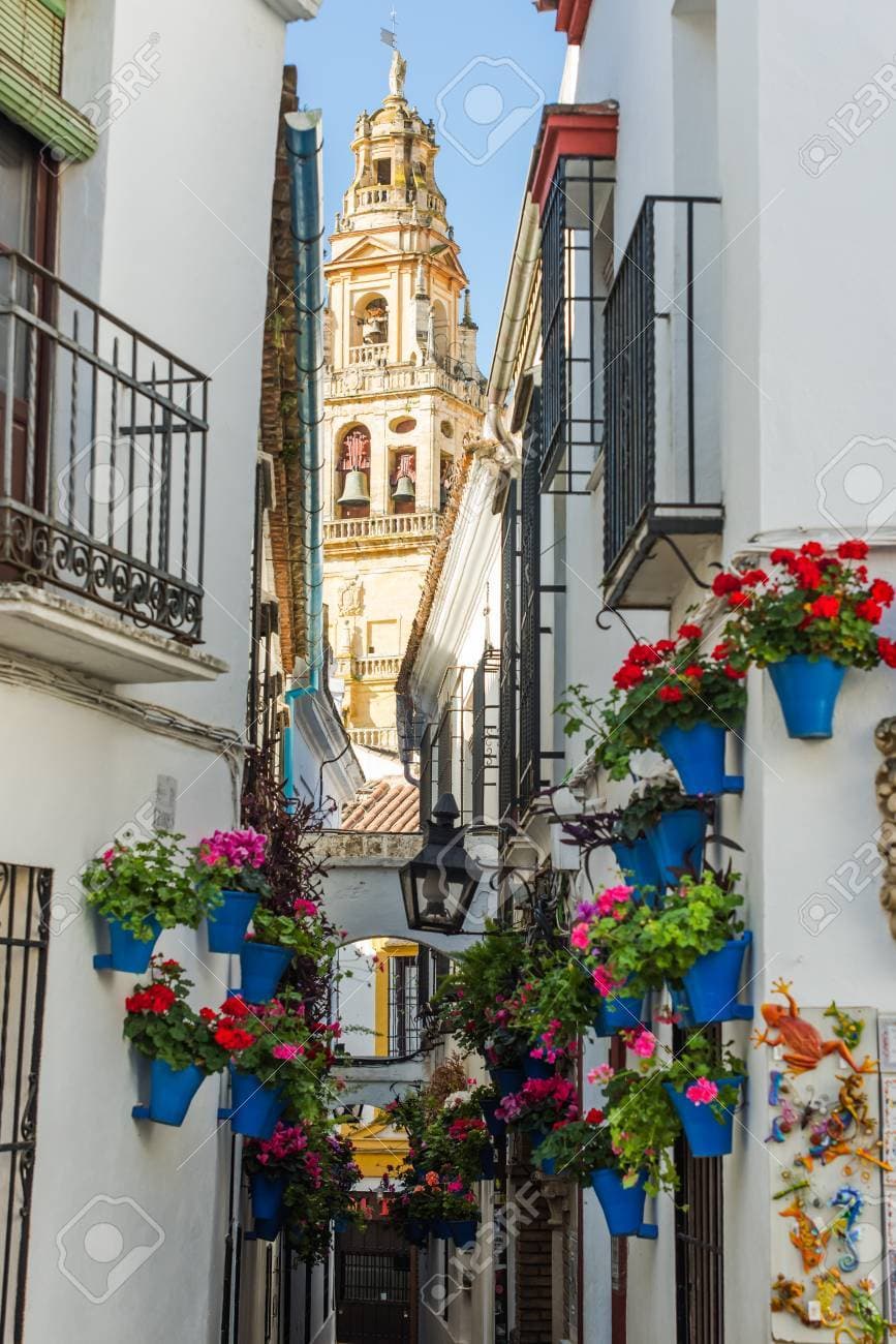 Lugar Calleja de las Flores