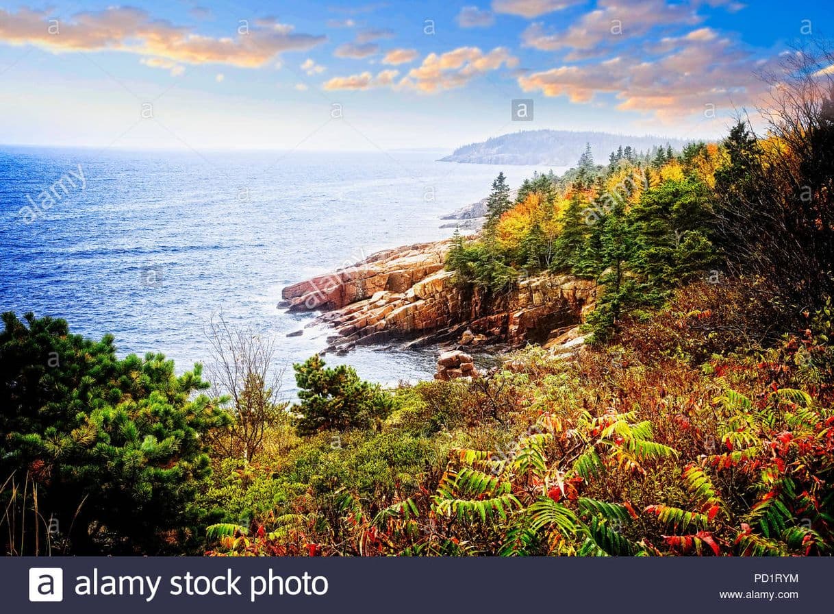 Lugar Acadia National Park