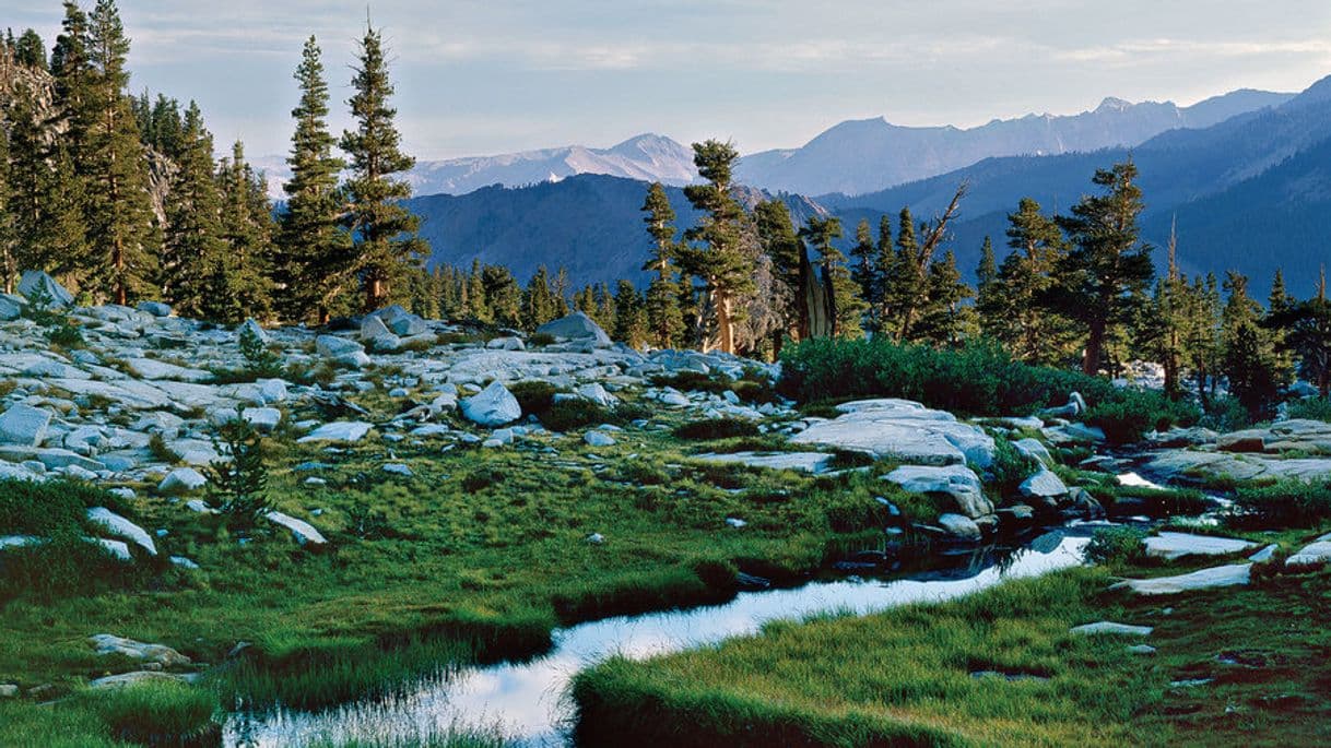 Lugar Kings Canyon National Park