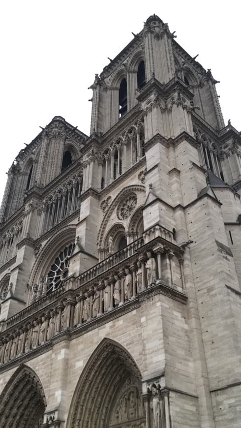 Lugar Catedral de Notre Dame