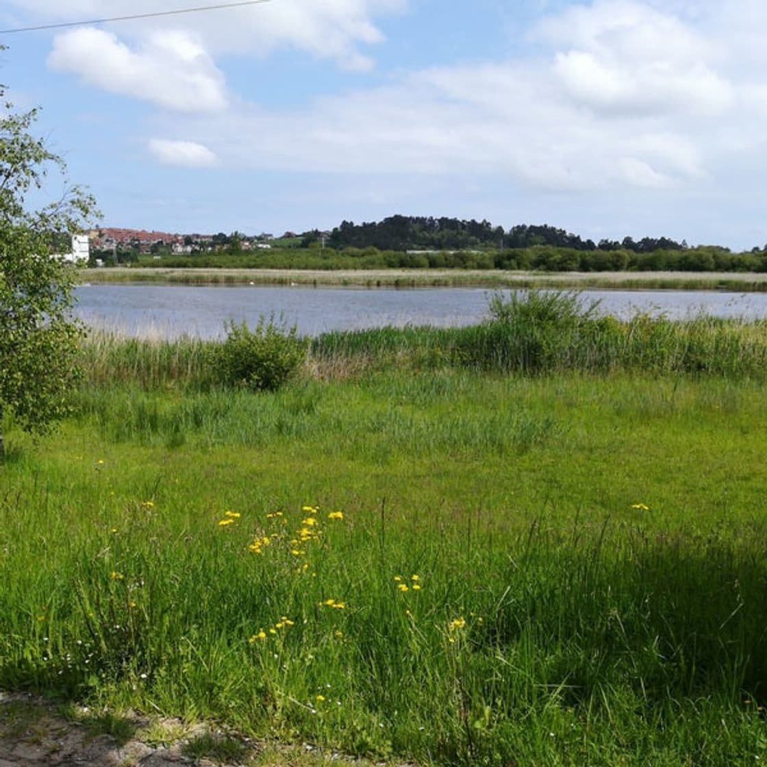 Lugar Marismas Blancas