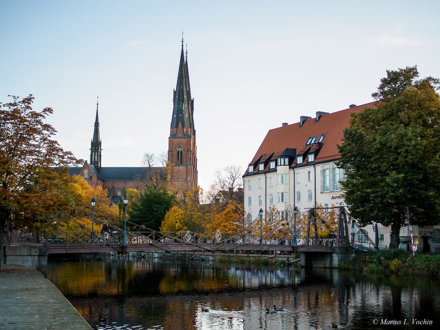 Lugar Uppsala